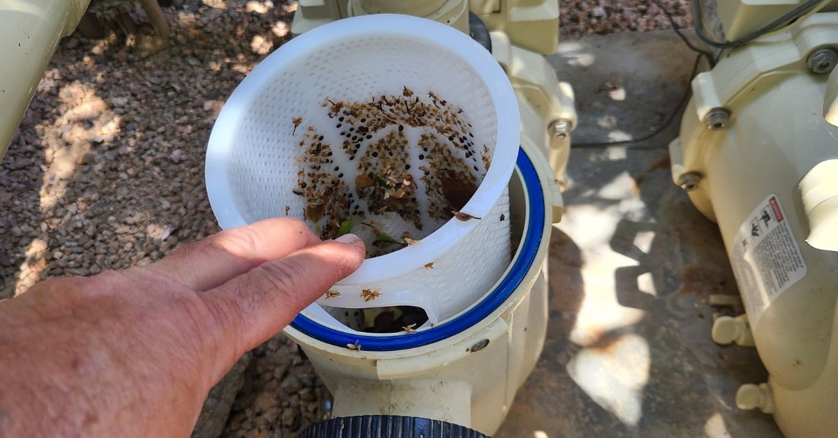 Empty Pool Baskets Empty Pool Baskets