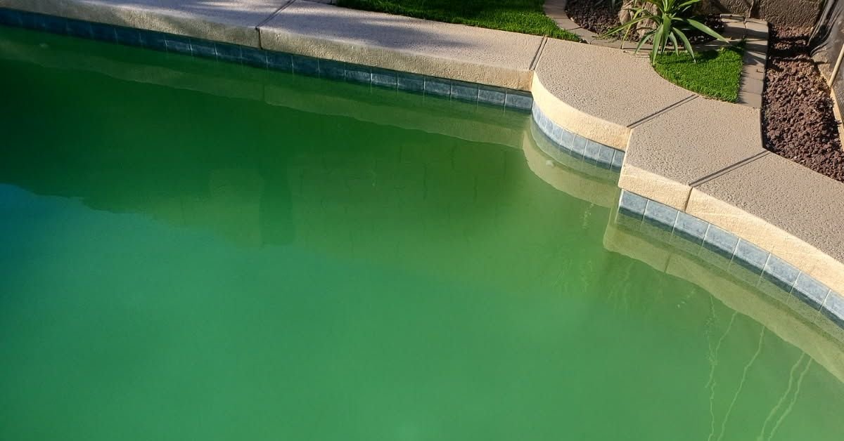 Specialized Pool Care algae treatments